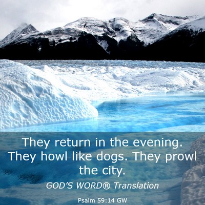 Picture 03 - Psalm 59:14 GW - They return in the evening. They howl like dogs. - Bible Verse Picture
