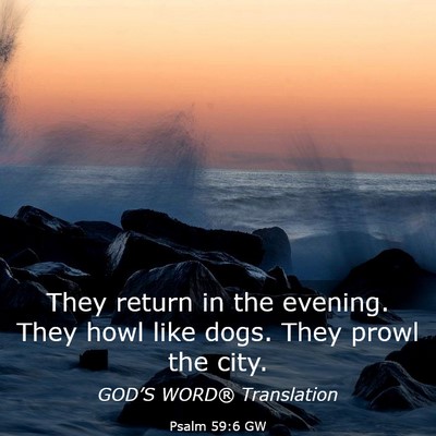 Picture 03 - Psalm 59:6 GW - They return in the evening. They howl like dogs. - Bible Verse Picture