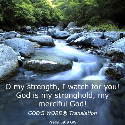Picture 03 - Psalm 59:9 GW - O my strength, I watch for you! God is my - Bible Verse Picture
