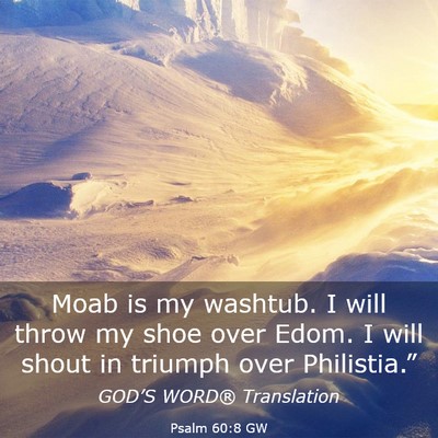 Picture 03 - Psalm 60:8 GW - Moab is my washtub. I will throw my shoe over - Bible Verse Picture