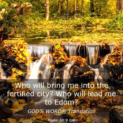 Picture 03 - Psalm 60:9 GW - Who will bring me into the fortified city? Who - Bible Verse Picture