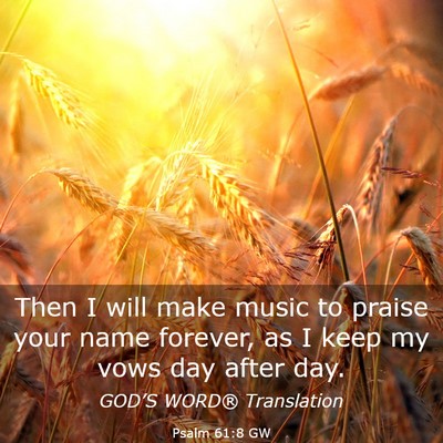 Picture 03 - Psalm 61:8 GW - Then I will make music to praise your name - Bible Verse Picture