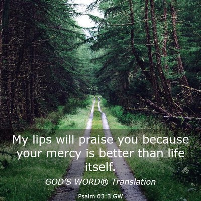 Picture 03 - Psalm 63:3 GW - My lips will praise you because your mercy is - Bible Verse Picture
