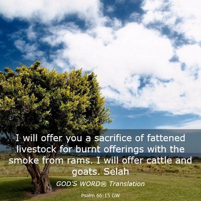 Picture 03 - Psalm 66:15 GW - I will offer you a sacrifice of fattened - Bible Verse Picture