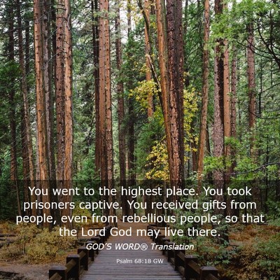 Picture 03 - Psalm 68:18 GW - You went to the highest place. You took prisoners - Bible Verse Picture