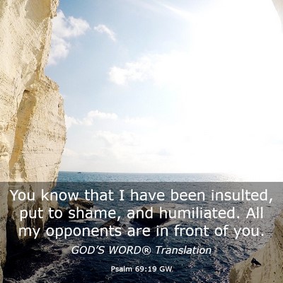 Picture 03 - Psalm 69:19 GW - You know that I have been insulted, put to shame, - Bible Verse Picture