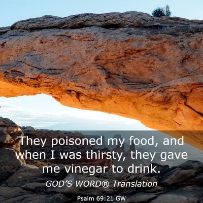 Picture 03 - Psalm 69:21 GW - They poisoned my food, and when I was thirsty, - Bible Verse Picture