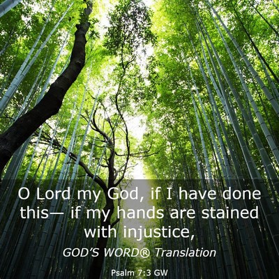 Picture 03 - Psalm 7:3 GW - O Lord my God, if I have done this— if my hands - Bible Verse Picture