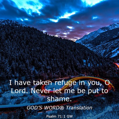Picture 03 - Psalm 71:1 GW - I have taken refuge in you, O Lord. Never let me - Bible Verse Picture