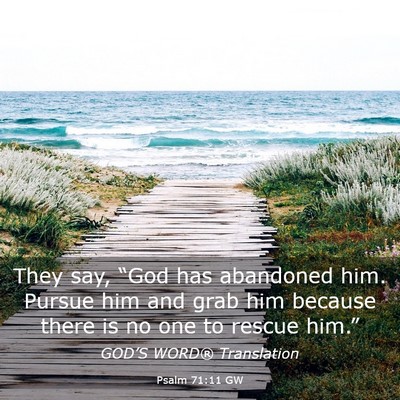 Picture 03 - Psalm 71:11 GW - They say, “God has abandoned him. Pursue him - Bible Verse Picture
