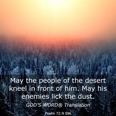 Picture 03 - Psalm 72:9 GW - May the people of the desert kneel in front of - Bible Verse Picture