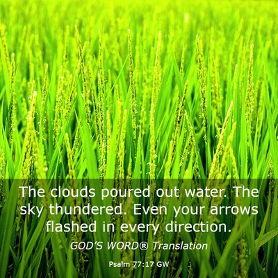 Picture 03 - Psalm 77:17 GW - The clouds poured out water. The sky thundered. - Bible Verse Picture