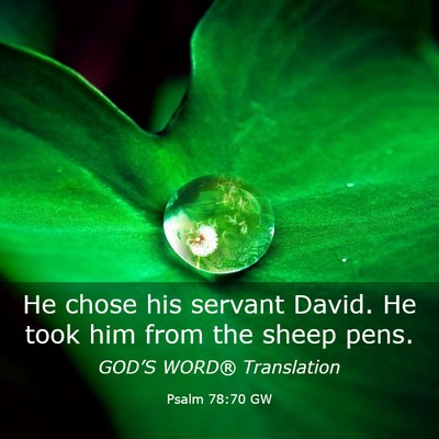 Picture 03 - Psalm 78:70 GW - He chose his servant David. He took him from the - Bible Verse Picture