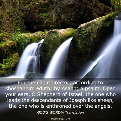 Picture 03 - Psalm 80:1 GW - For the choir director; according to shoshannim - Bible Verse Picture