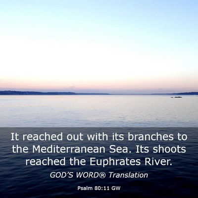 Picture 03 - Psalm 80:11 GW - It reached out with its branches to the - Bible Verse Picture