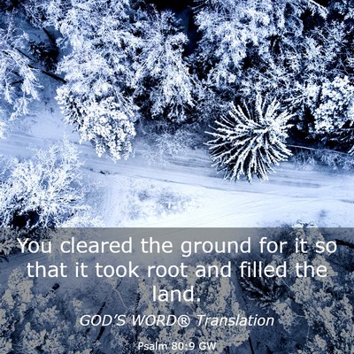 Picture 03 - Psalm 80:9 GW - You cleared the ground for it so that it took - Bible Verse Picture