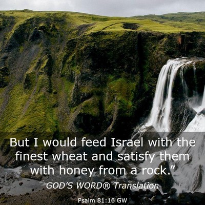 Picture 03 - Psalm 81:16 GW - But I would feed Israel with the finest wheat and - Bible Verse Picture