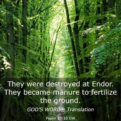 Picture 03 - Psalm 83:10 GW - They were destroyed at Endor. They became manure - Bible Verse Picture