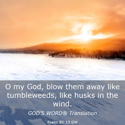 Picture 03 - Psalm 83:13 GW - O my God, blow them away like tumbleweeds, like - Bible Verse Picture