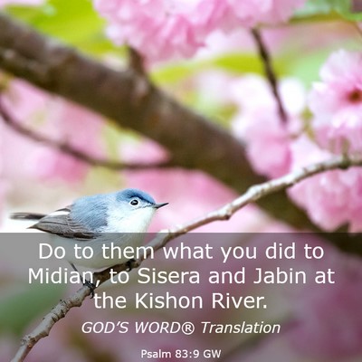 Picture 03 - Psalm 83:9 GW - Do to them what you did to Midian, to Sisera and - Bible Verse Picture