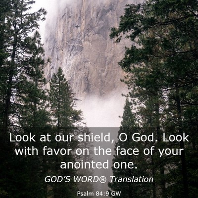Picture 03 - Psalm 84:9 GW - Look at our shield, O God. Look with favor on the - Bible Verse Picture