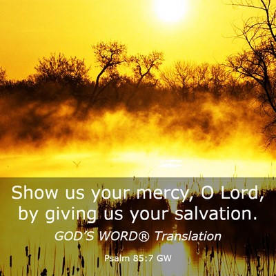 Picture 03 - Psalm 85:7 GW - Show us your mercy, O Lord, by giving us your - Bible Verse Picture