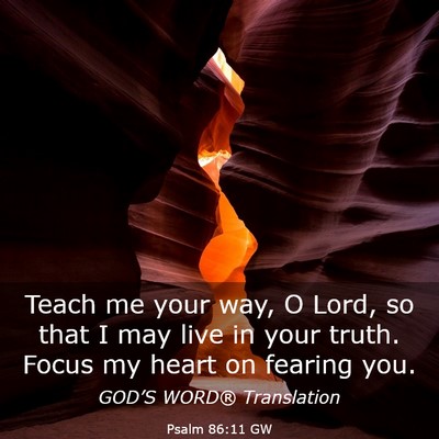 Picture 03 - Psalm 86:11 GW - Teach me your way, O Lord, so that I may live in - Bible Verse Picture