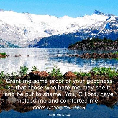 Picture 03 - Psalm 86:17 GW - Grant me some proof of your goodness so that - Bible Verse Picture
