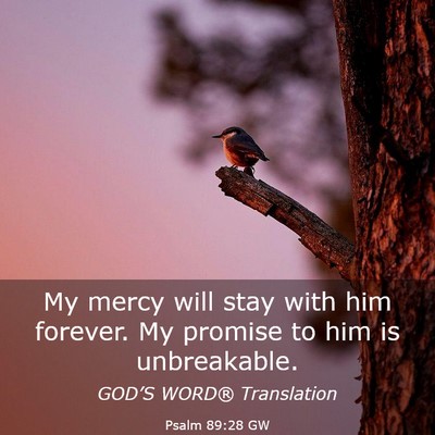 Picture 03 - Psalm 89:28 GW - My mercy will stay with him forever. My promise - Bible Verse Picture