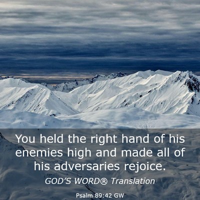 Picture 03 - Psalm 89:42 GW - You held the right hand of his enemies high and - Bible Verse Picture