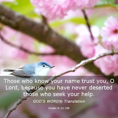 Picture 03 - Psalm 9:10 GW - Those who know your name trust you, O Lord, - Bible Verse Picture