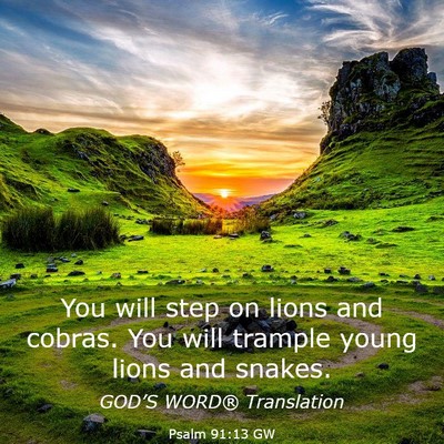 Picture 03 - Psalm 91:13 GW - You will step on lions and cobras. You will - Bible Verse Picture