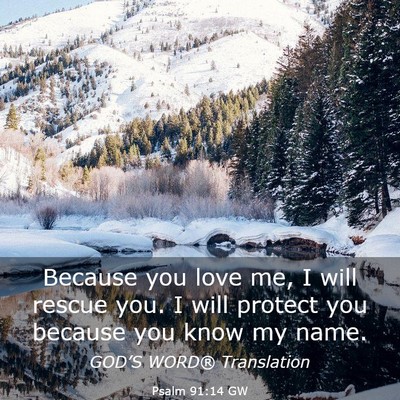 Picture 03 - Psalm 91:14 GW - Because you love me, I will rescue you. I will - Bible Verse Picture