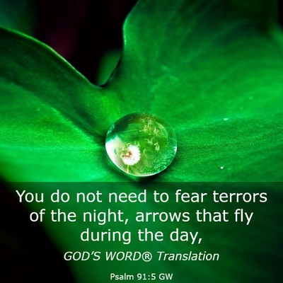 Picture 03 - Psalm 91:5 GW - You do not need to fear terrors of the night, - Bible Verse Picture