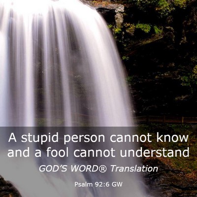 Picture 03 - Psalm 92:6 GW - A stupid person cannot know and a fool cannot - Bible Verse Picture