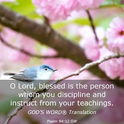Picture 03 - Psalm 94:12 GW - O Lord, blessed is the person whom you discipline - Bible Verse Picture