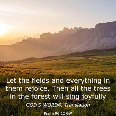 Picture 03 - Psalm 96:12 GW - Let the fields and everything in them rejoice. - Bible Verse Picture