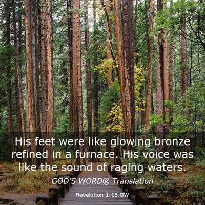 Picture 03 - Revelation 1:15 GW - His feet were like glowing bronze refined in a - Bible Verse Picture