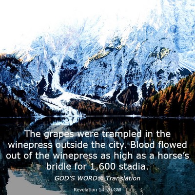 Picture 03 - Revelation 14:20 GW - The grapes were trampled in the winepress outside - Bible Verse Picture