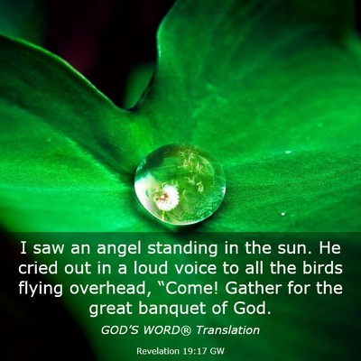 Picture 03 - Revelation 19:17 GW - I saw an angel standing in the sun. He cried out - Bible Verse Picture