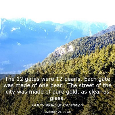 Picture 03 - Revelation 21:21 GW - The 12 gates were 12 pearls. Each gate was made - Bible Verse Picture