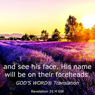 Picture 03 - Revelation 22:4 GW - and see his face. His name will be on their - Bible Verse Picture