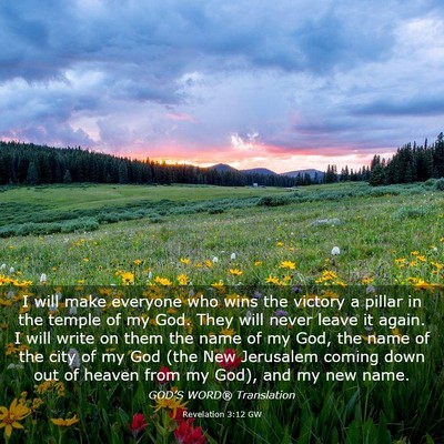 Picture 03 - Revelation 3:12 GW - I will make everyone who wins the victory a - Bible Verse Picture