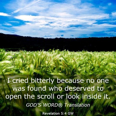 Picture 03 - Revelation 5:4 GW - I cried bitterly because no one was found who - Bible Verse Picture