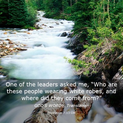 Picture 03 - Revelation 7:13 GW - One of the leaders asked me, “Who are these - Bible Verse Picture