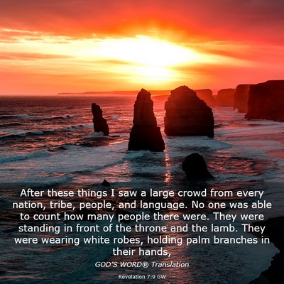 Picture 03 - Revelation 7:9 GW - After these things I saw a large crowd from every - Bible Verse Picture
