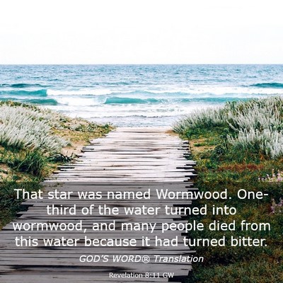 Picture 03 - Revelation 8:11 GW - That star was named Wormwood. One-third of the - Bible Verse Picture