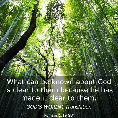 Picture 03 - Romans 1:19 GW - What can be known about God is clear to them - Bible Verse Picture