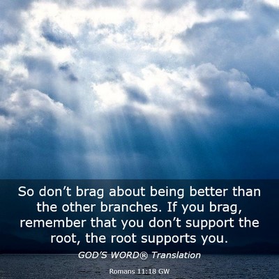 Picture 03 - Romans 11:18 GW - So don’t brag about being better than the other - Bible Verse Picture