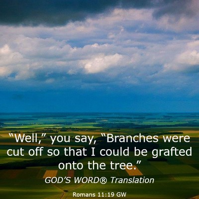 Picture 03 - Romans 11:19 GW - “Well,” you say, “Branches were cut off so - Bible Verse Picture